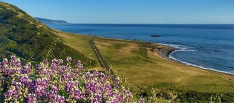 Lost Coast Cottage Petrolia