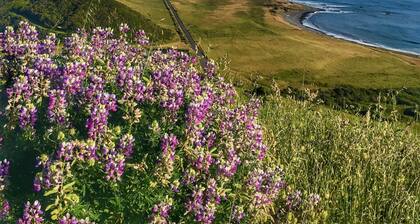 Lost Coast Cottage Petrolia