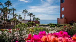 A resort with a view of the ocean, palm trees, and a building with a red facade. - Beachfront Paradise, right on the ocean! (San José Del Cabo)