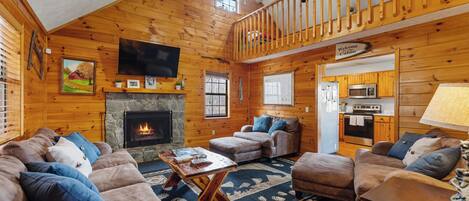 Tv, pejs, videospil, dvd-afspiller