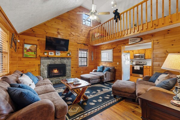 TV, fireplace, video games, DVD player