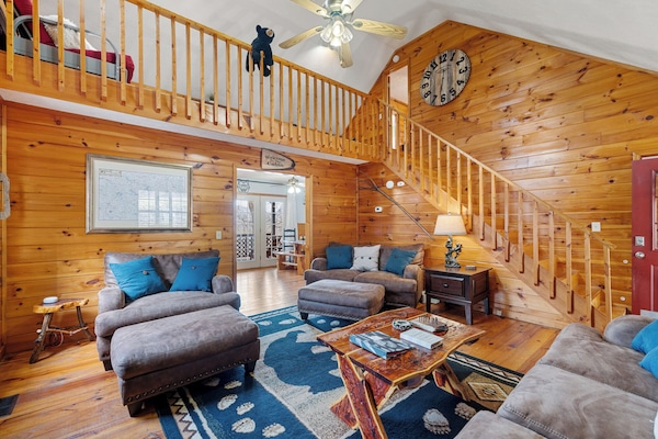 Télévision, cheminée, jeux vidéo, lecteur de DVD