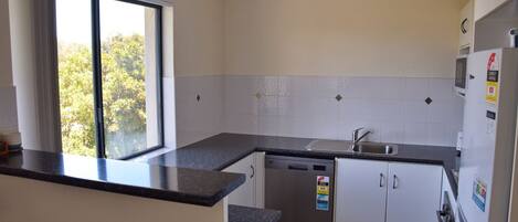 A compact kitchen with a window, a dishwasher, and a refrigerator.