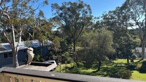 Property grounds - Dalesview Retreat - close to the water - Bring your own linen (ARAKOON)