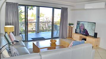 TV, Netflix, streaming services