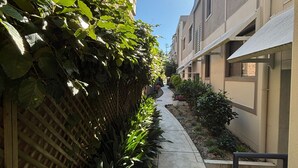A narrow pathway flanked by dense foliage and a building with a flat facade and windows. - Jubilee Apartment 14 (South West Rocks)