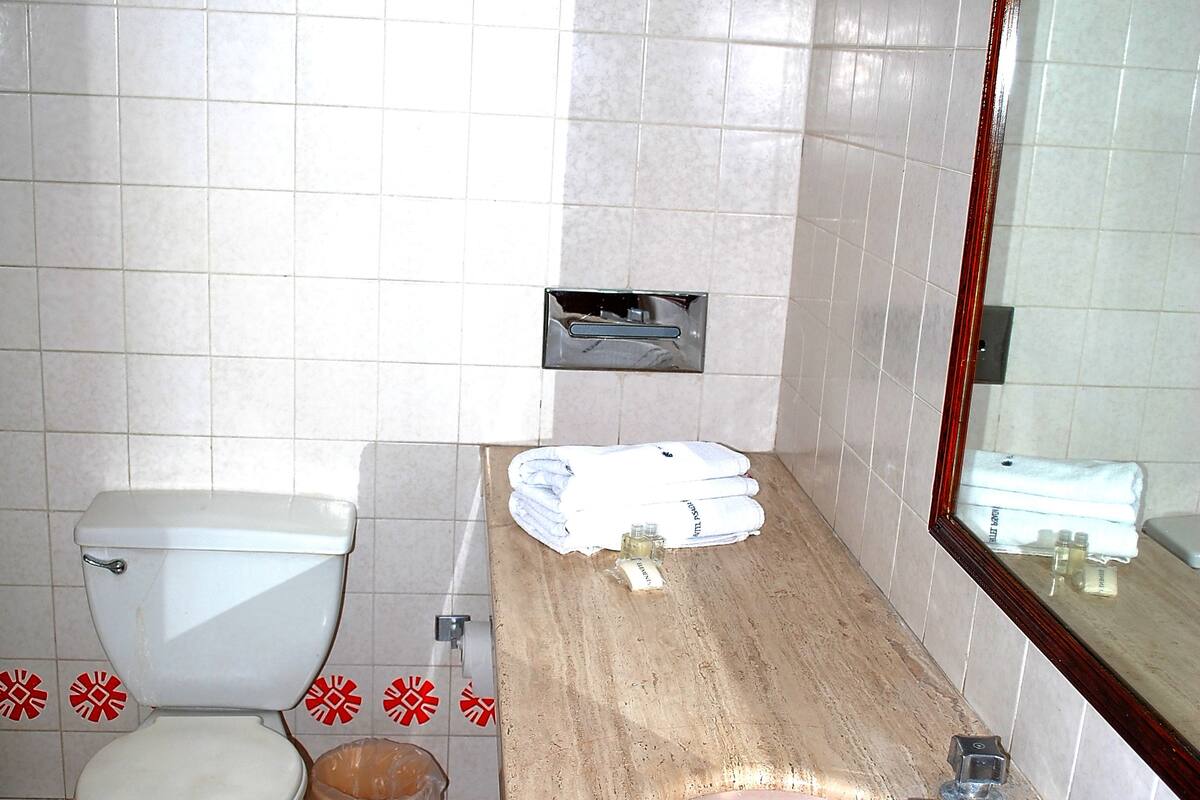 business suite, 1 king bed, non smoking | 1 bedroom, blackout curtains, free wifi, bed sheets