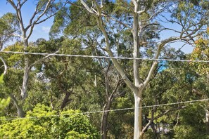 A tree with a wire strung between its branches.