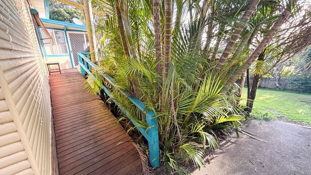 Un pontile in legno con ringhiera blu, immerso in una rigogliosa vegetazione tropicale.