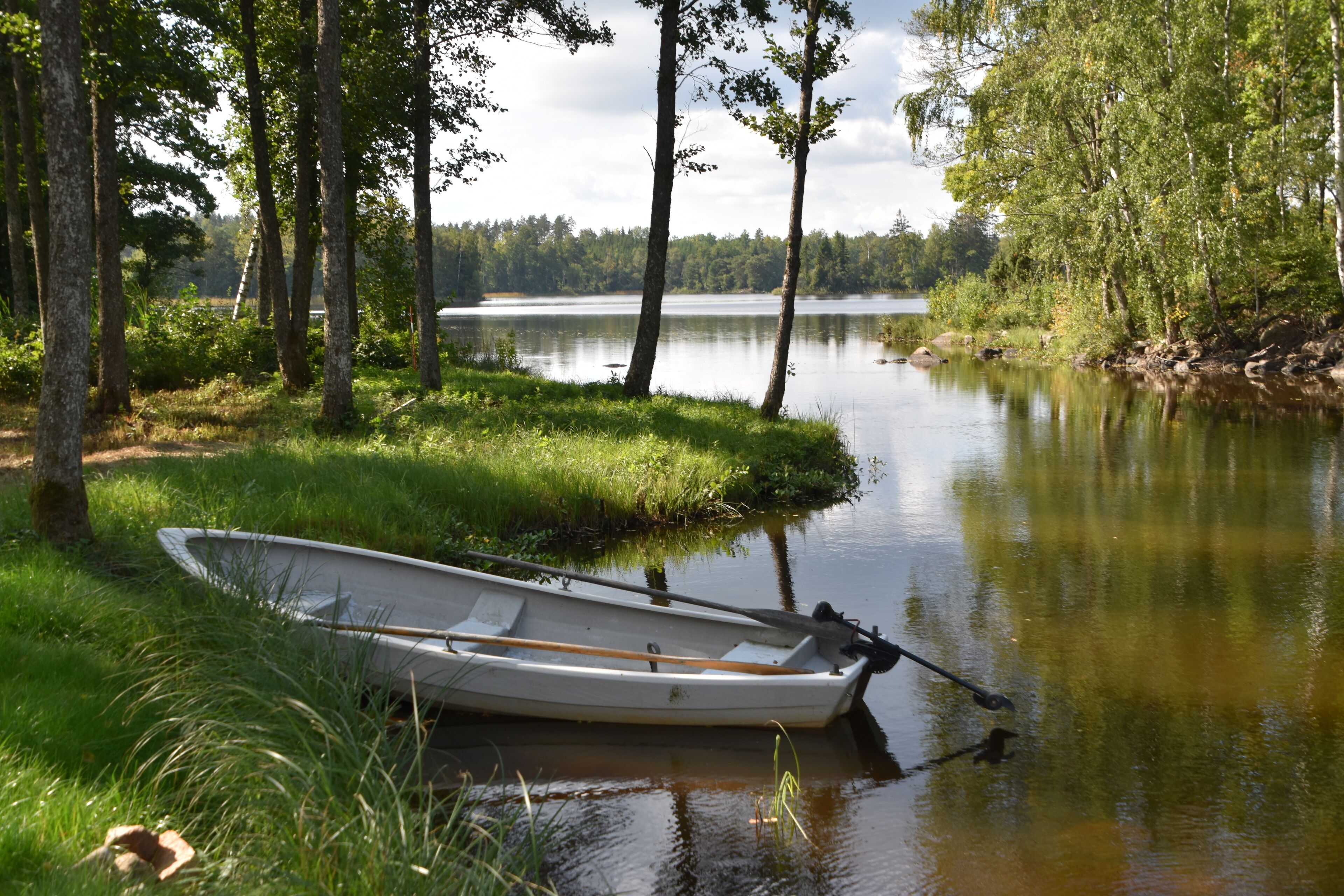 A small rowboat tied to a grassy bank beside a calm lake, surrounded by trees.