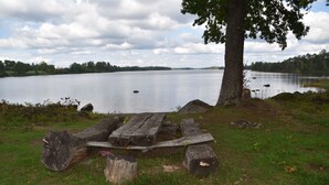 Un área de picnic junto al lago, con un banco de madera y un árbol.