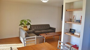 电视、DVD 播放器