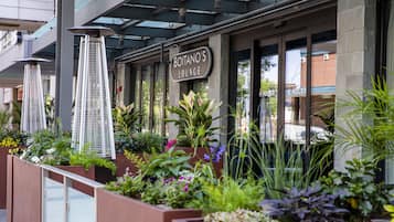 Terrasse/gårdhave