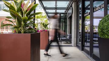 Entrada da propriedade