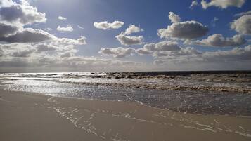 Playa en los alrededores 