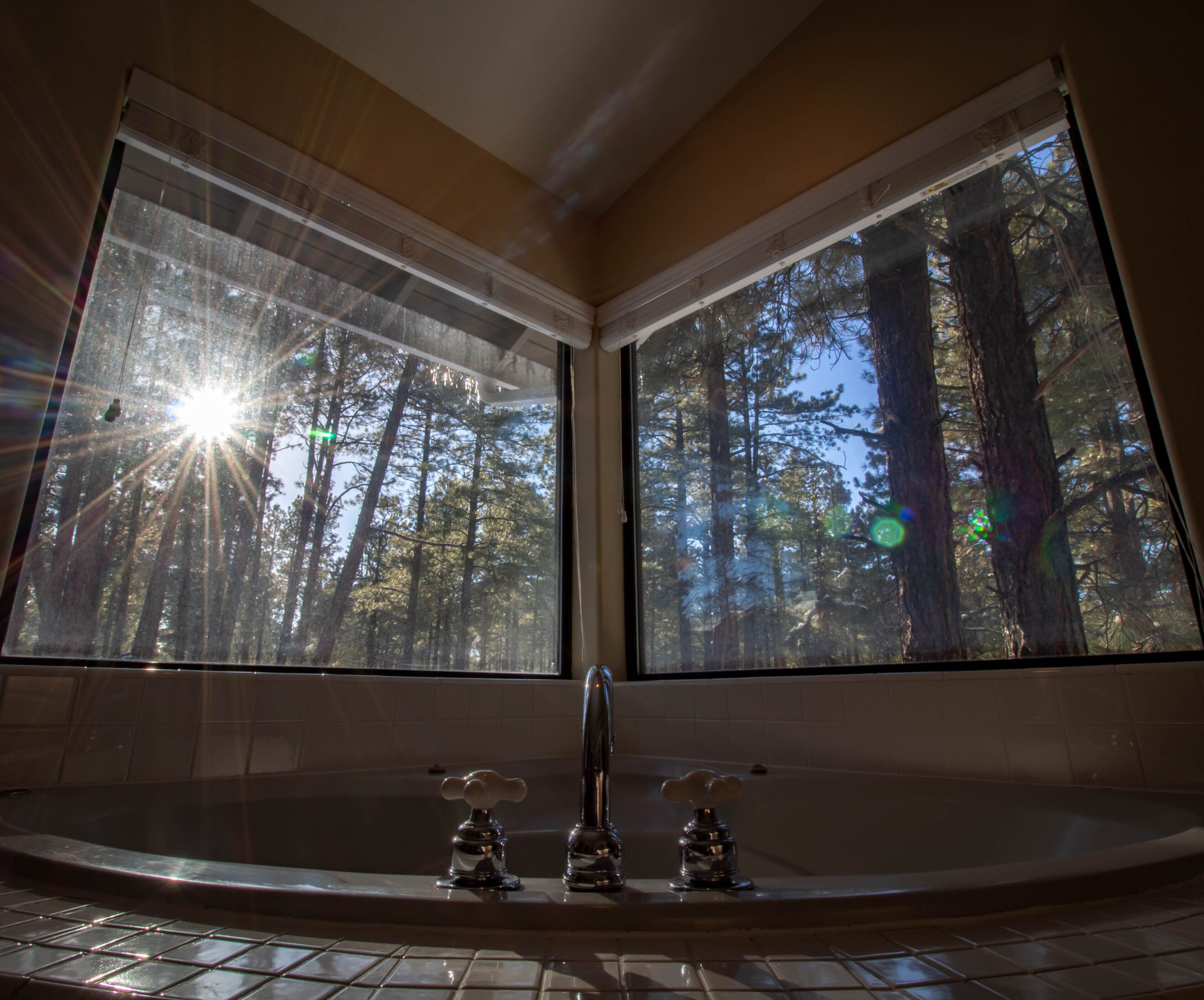 Dream Home with HOT TUB Backing Forest!