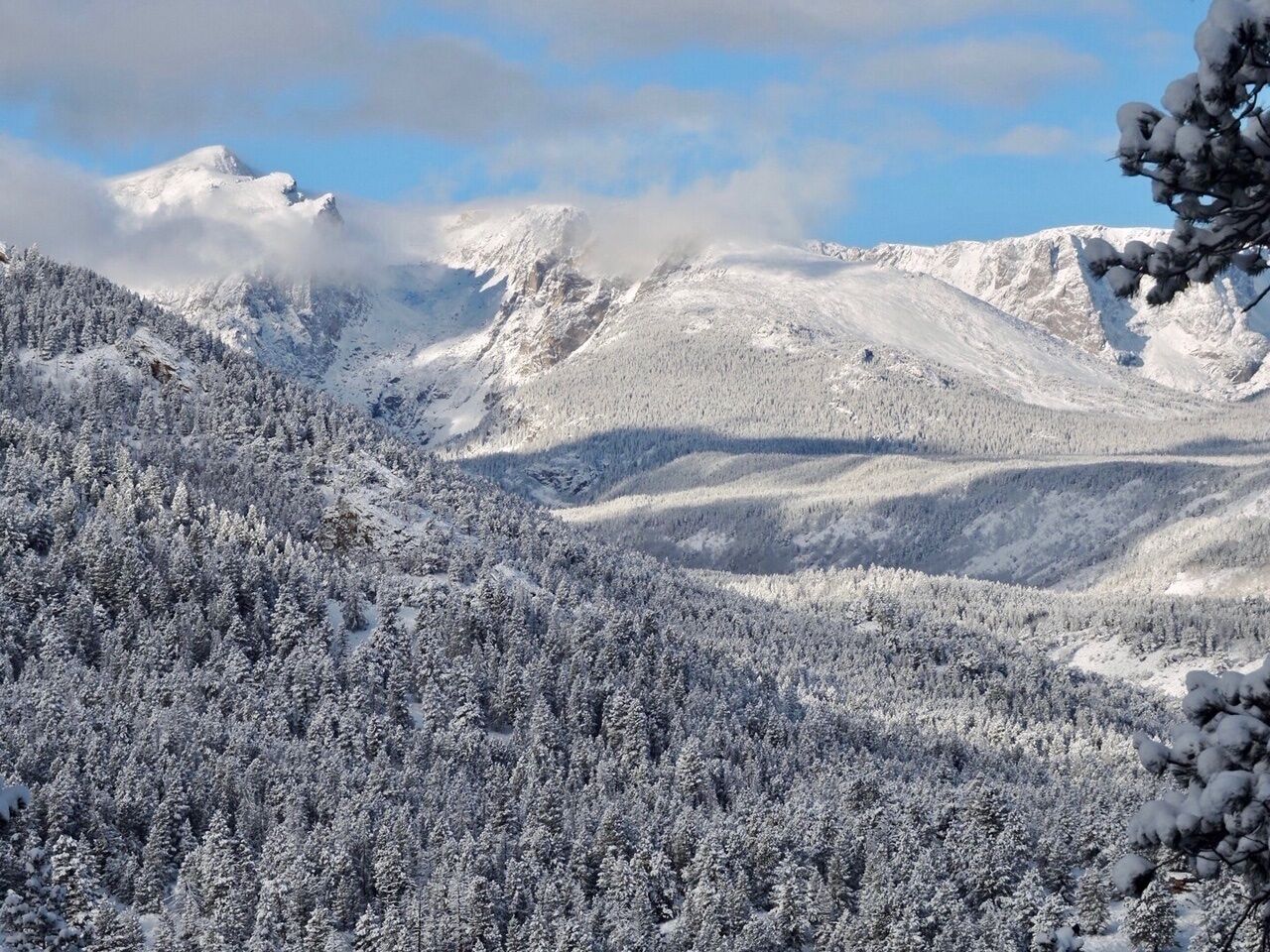 Un paysage montagneux enneigé, avec de vastes forêts et un ciel dégagé.