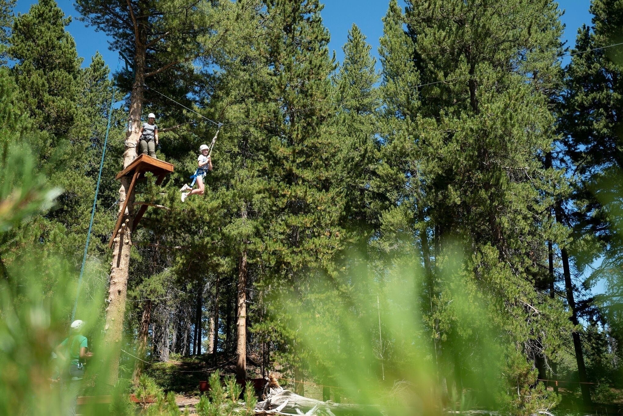 Eine Plattform im Wald mit Personen darauf.