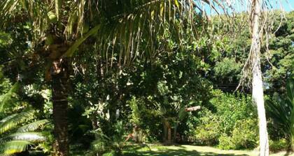 Tranquillité au milieu de la nature