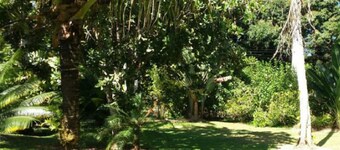 Tranquility in the midst of nature