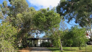 A pathway leading to a house surrounded by trees. - 8 Ophir Cottage in Ventnor (Ventnor)