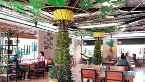 Een restaurant met houten tafels en stoelen, hangplanten en een bakstenen muur.