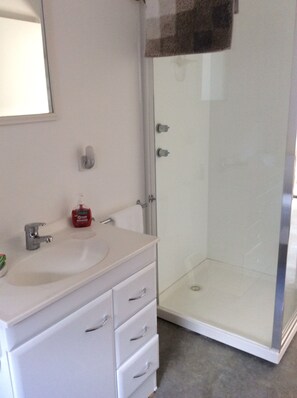 Shower, eco-friendly toiletries, hair dryer, towels