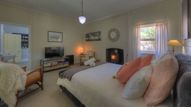 Een slaapkamer met een bed, een televisie, een open haard en een raam met gordijnen.