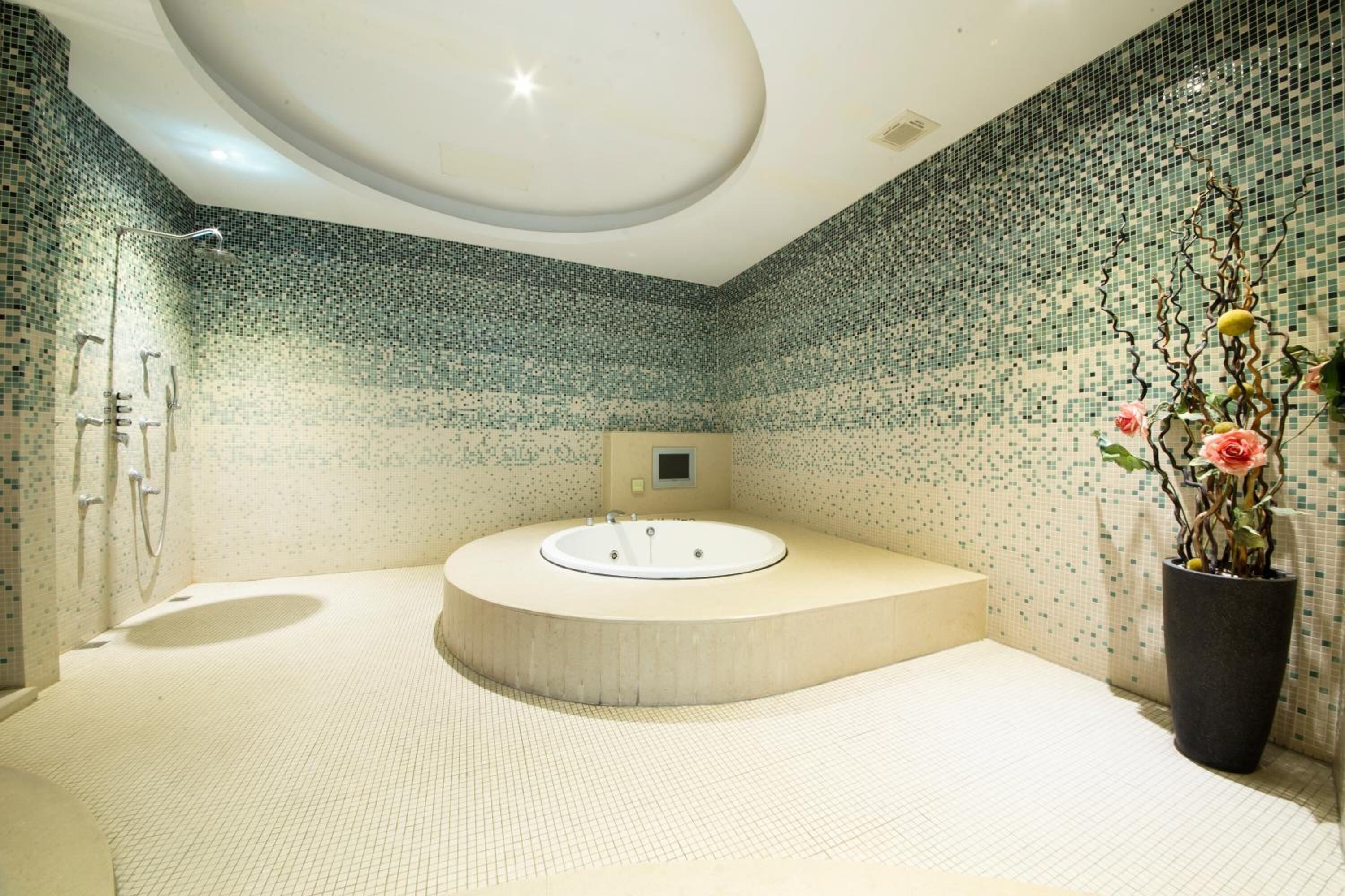 separate bathtub and shower, jetted bath, hydromassage showerhead