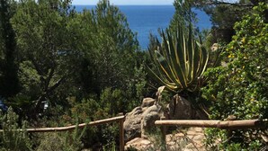 Un paysage naturel offrant une vue sur l’océan, bordé de diverses espèces de végétation et caractérisé par un terrain rocheux.