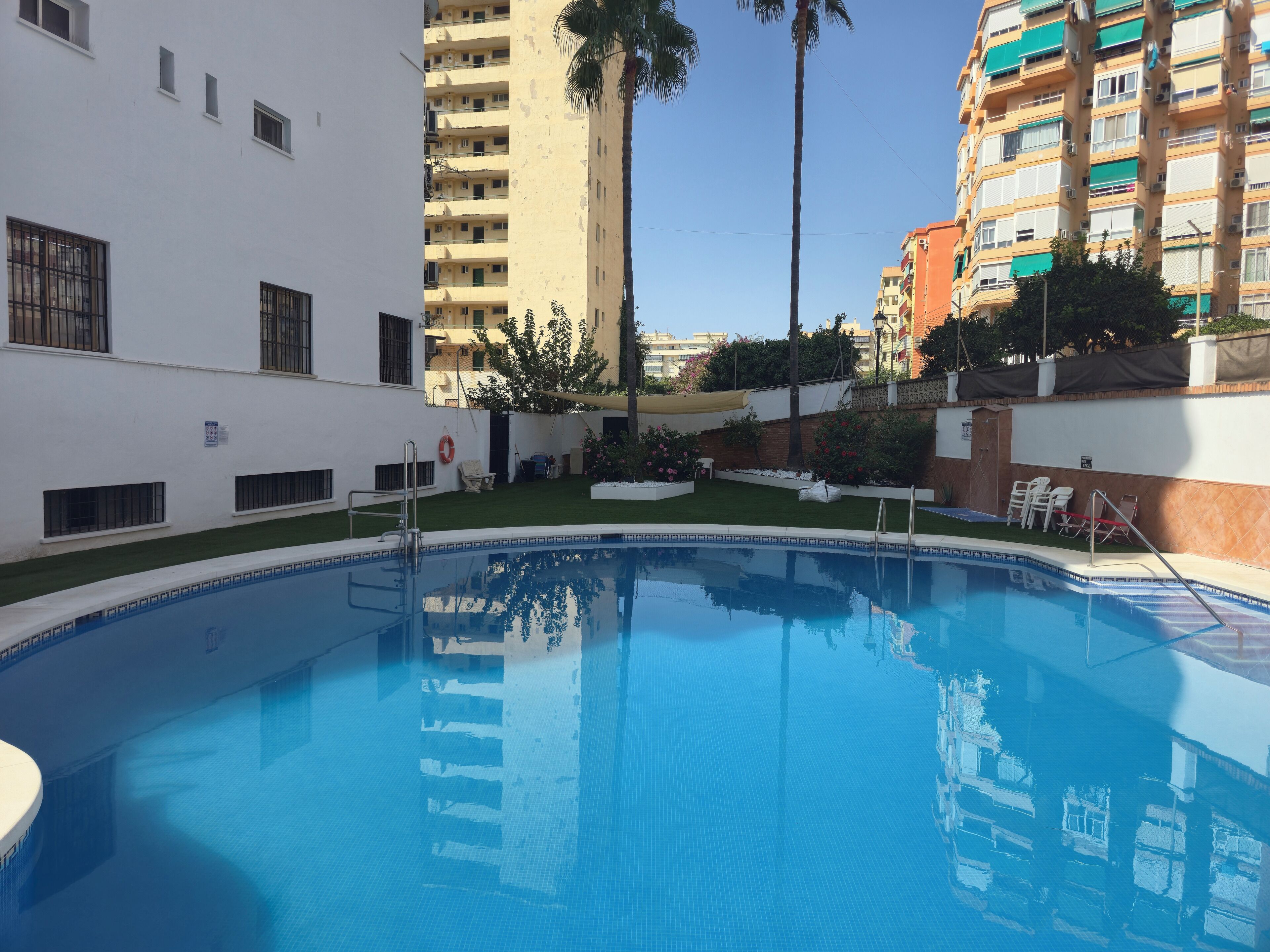 Une piscine entourée d’un bâtiment blanc doté de balcons, d’un palmier et offrant une vue sur d’autres immeubles.