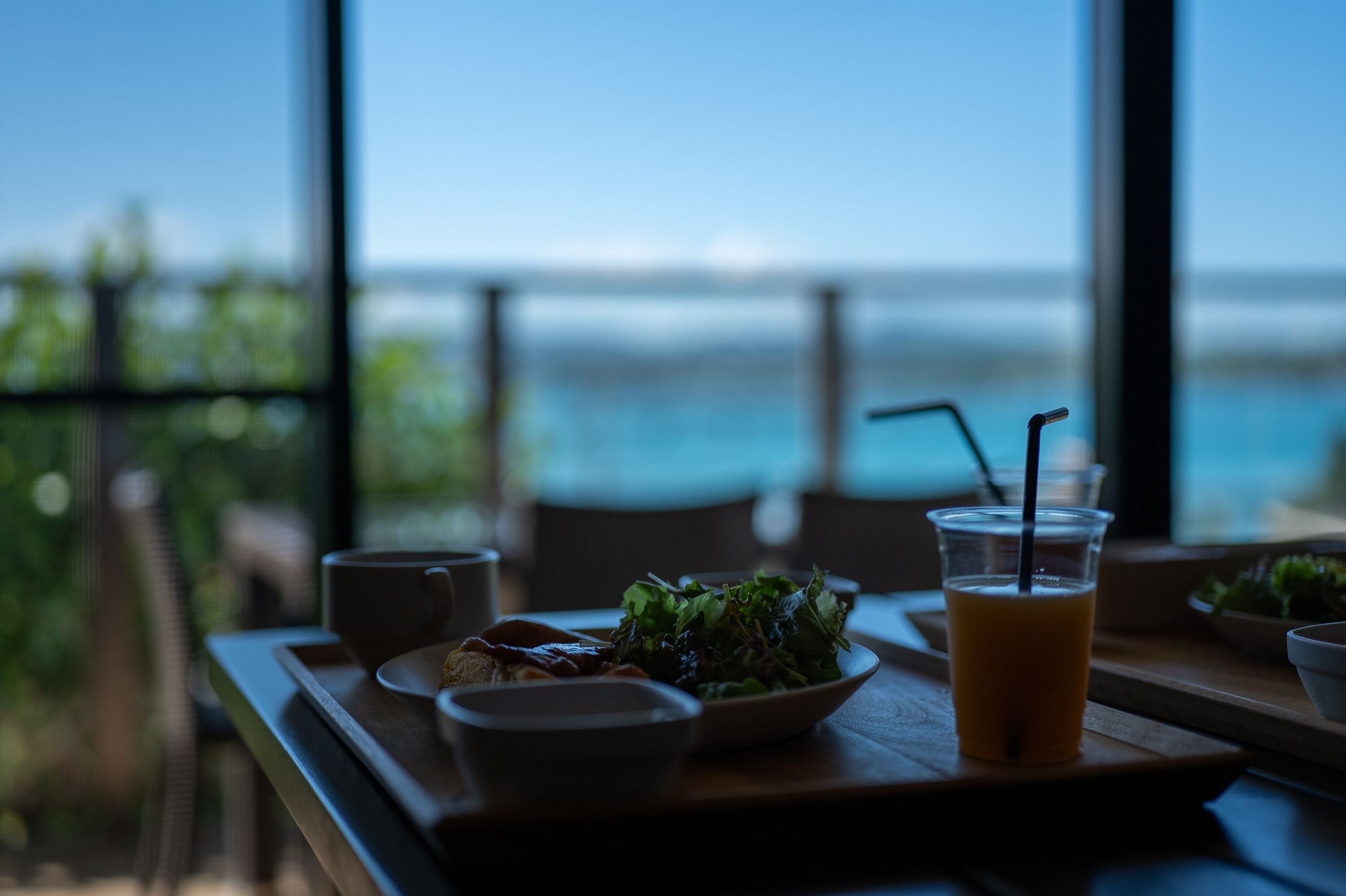 ocean view terrace c | view from room