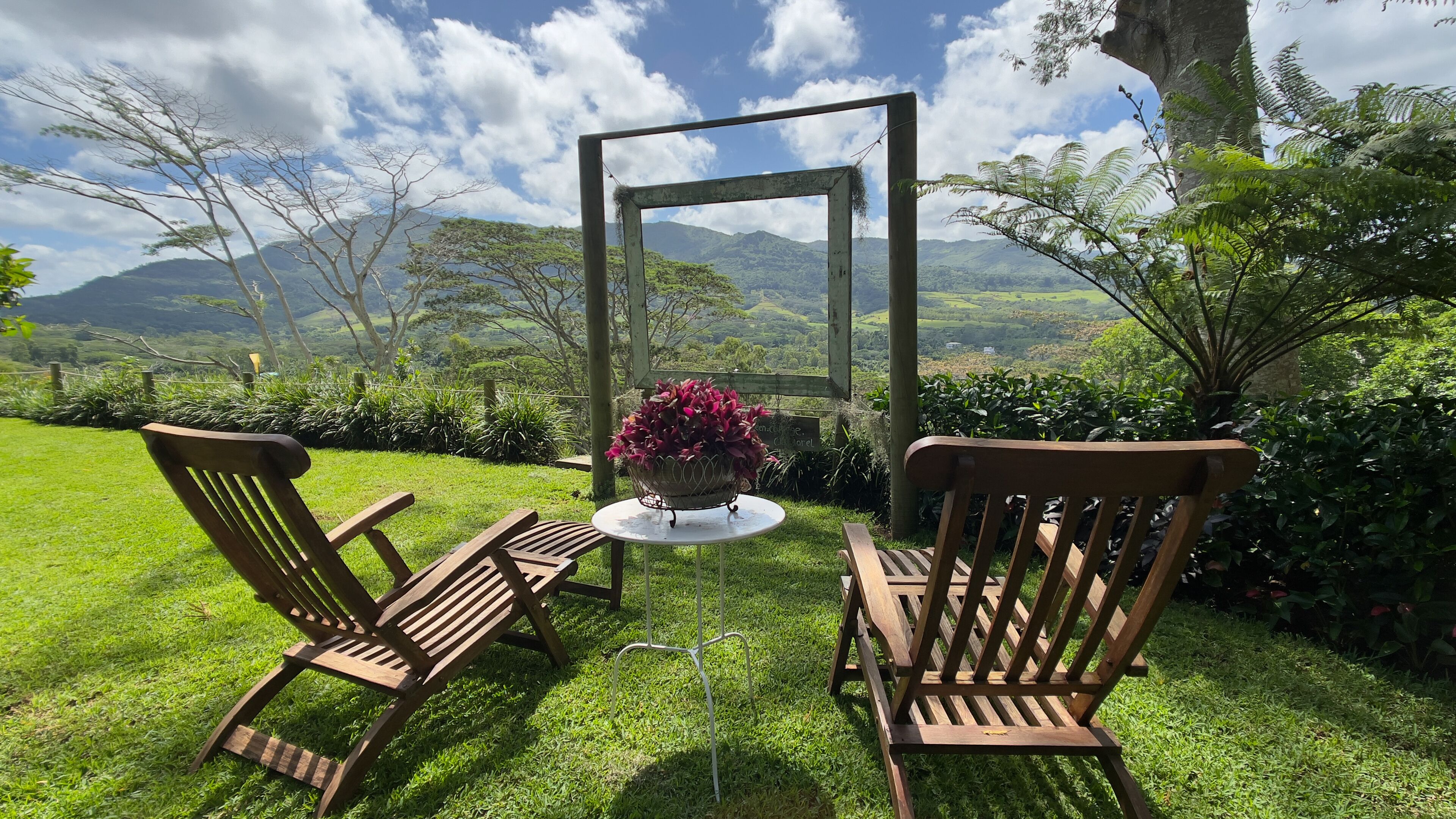 A garden with two wooden chairs and a table, surrounded by lush greenery and a mountain view.