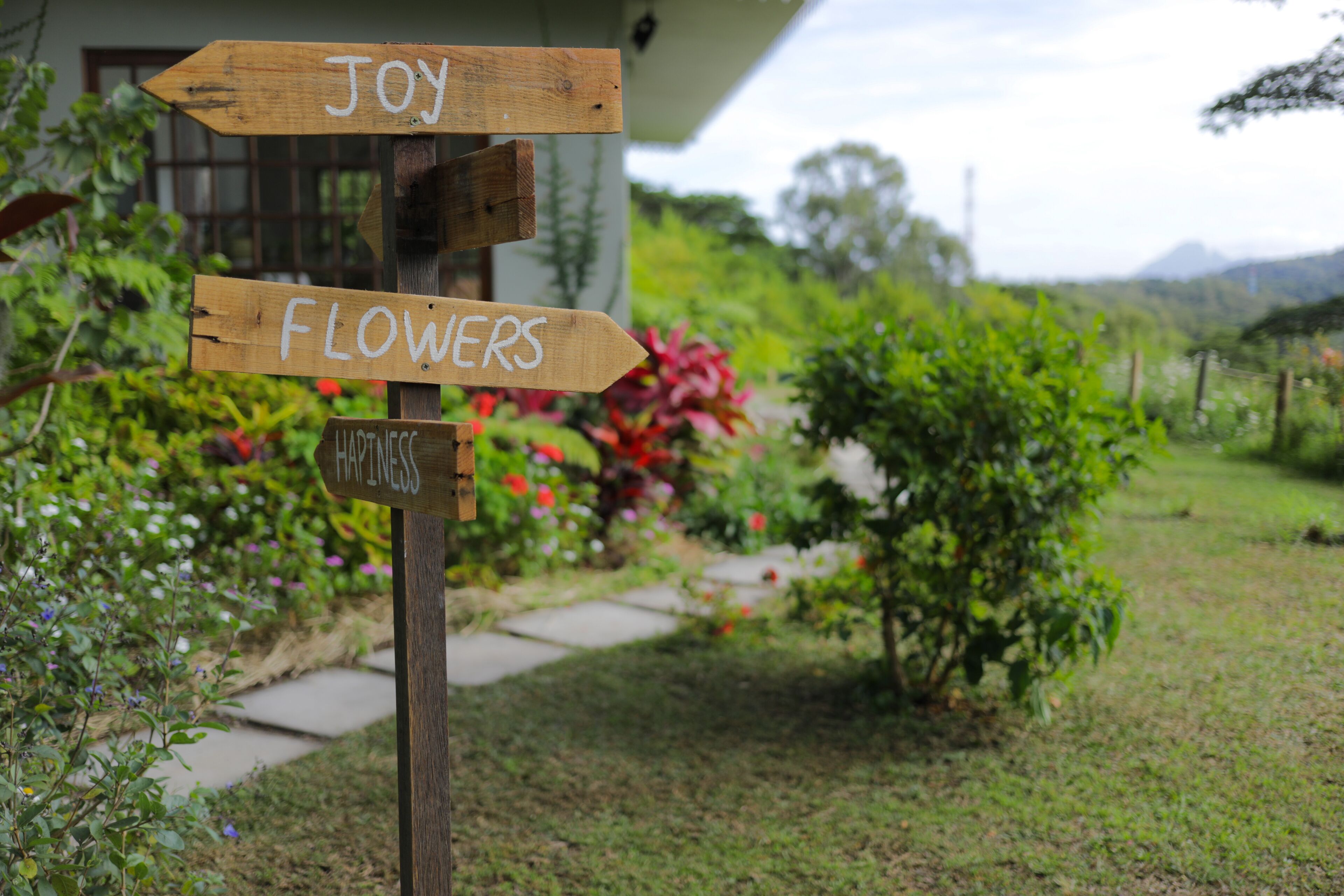 A wooden signpost with directional arrows labeled "Joy," "Flowers," and "Happiness."