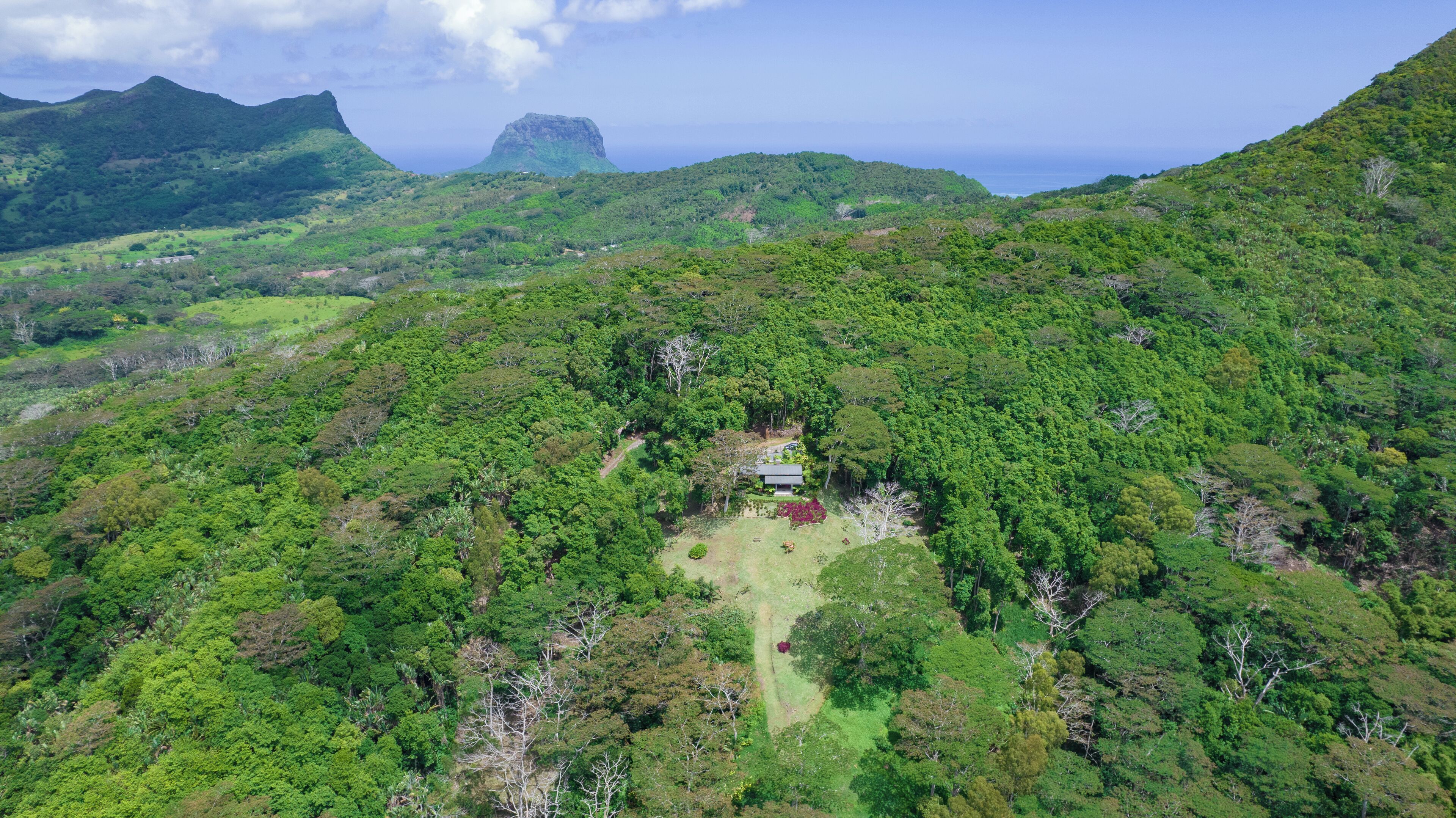 A lush green landscape with a small building surrounded by dense vegetation.