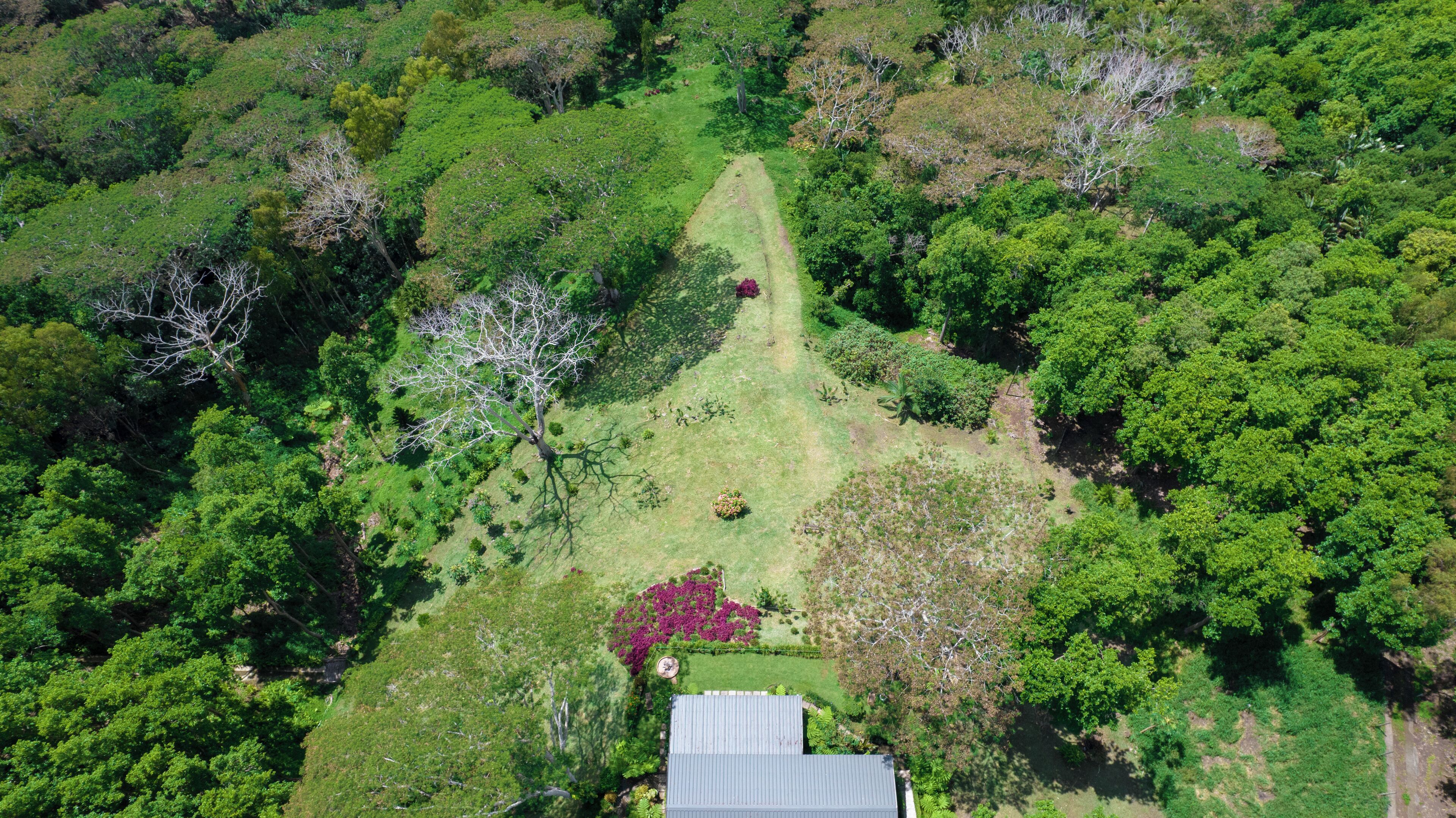 Vista aérea de una propiedad con un área verde central, rodeada de abundante vegetación y árboles.