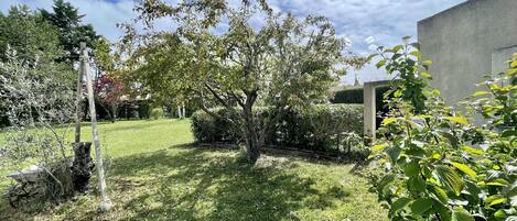 Um jardim com diversas árvores e arbustos, um gramado e uma estrutura de concreto.