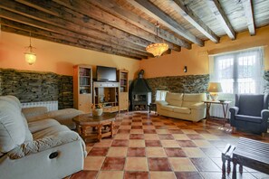 TV, fireplace, DVD player, books