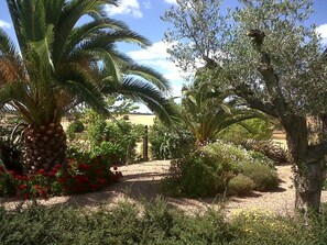 Property grounds - Monte do Muro Rural House (Campo Maior)