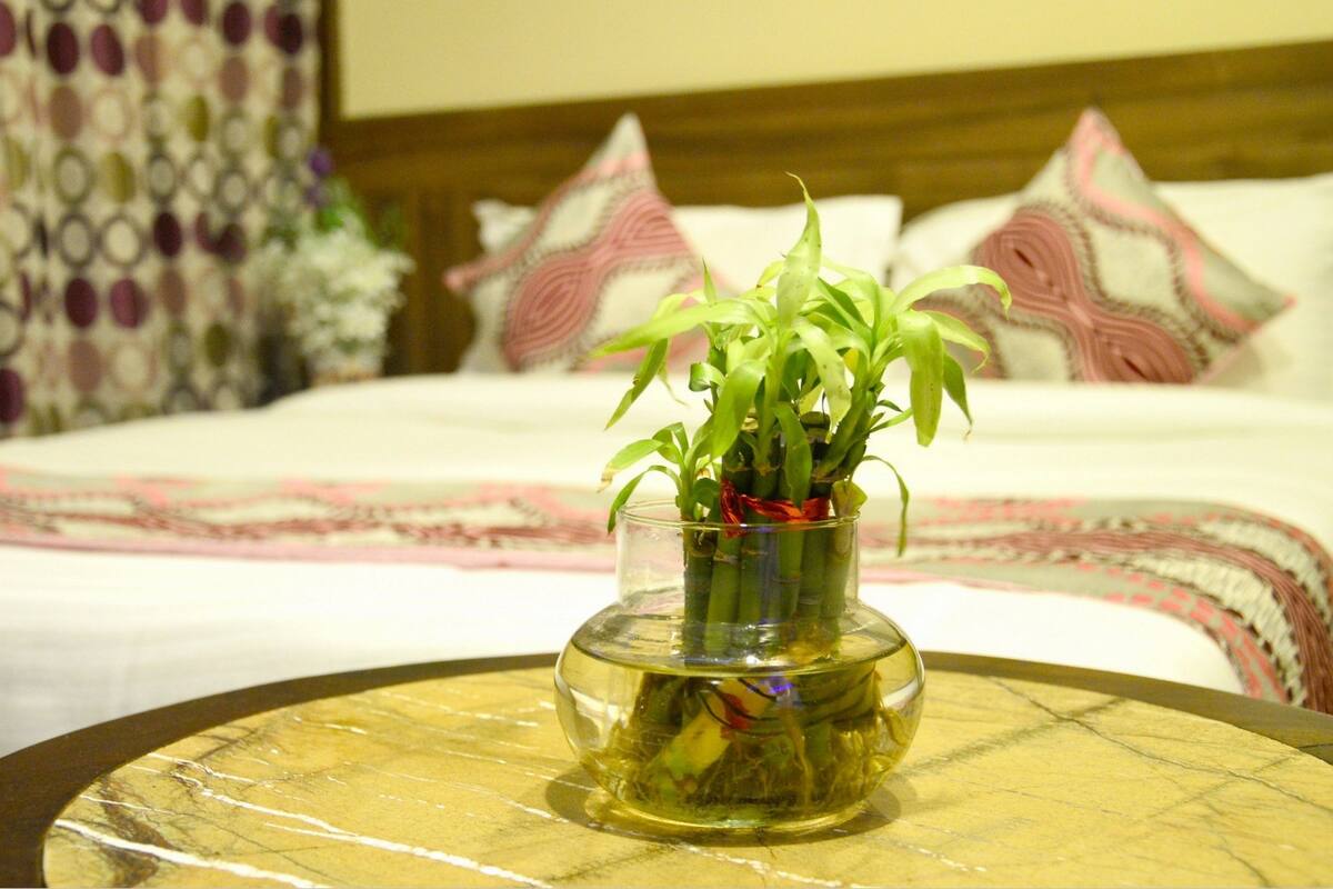 A bed with a patterned bedspread, pillows with a pink and white design, and a small glass vase with green plants on a round table.