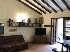 TV, fireplace, books