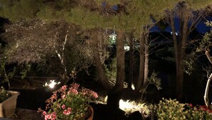 A nighttime garden with trees and flowering plants illuminated by artificial lights.
