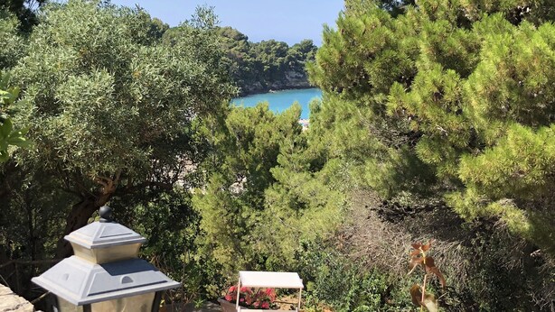 A garden with a view of a blue body of water, surrounded by trees and potted plants.