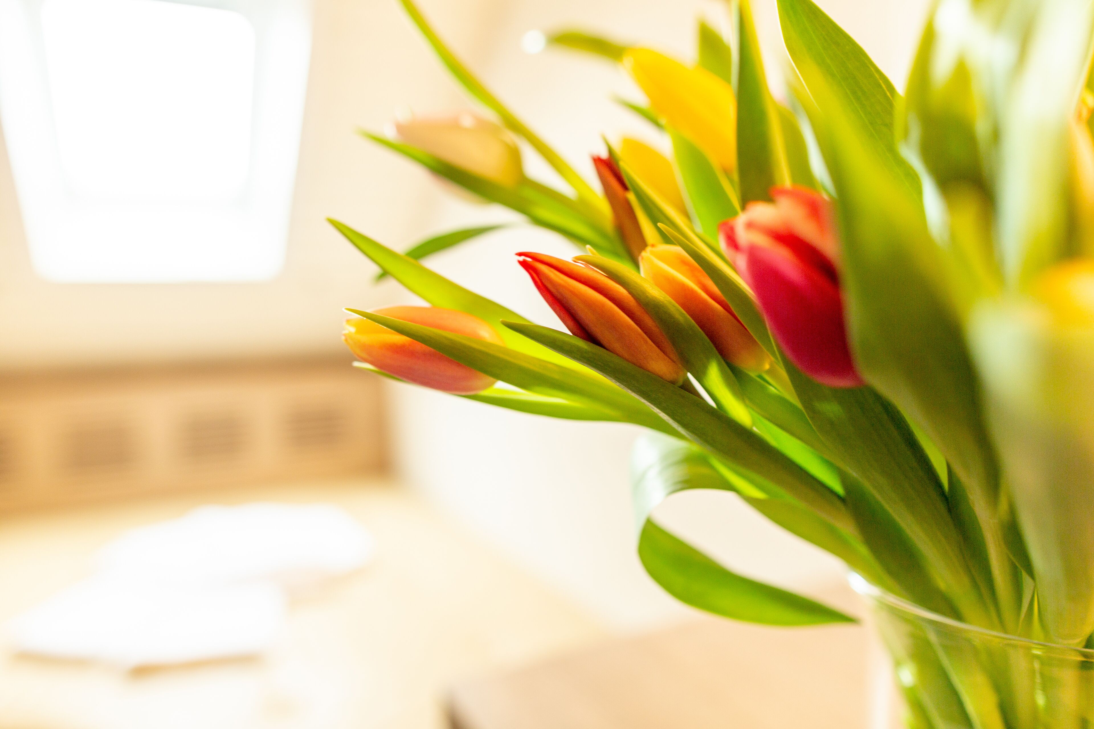 Photo - Hotel Alexander