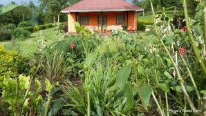 Property grounds - Kluges Guest Farm (Fort Portal)