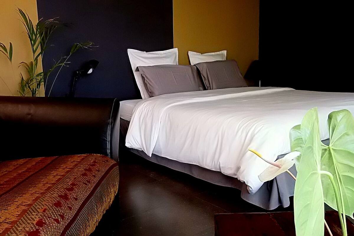 A modern bedroom with a bed, a sofa, a potted plant, and a lamp.