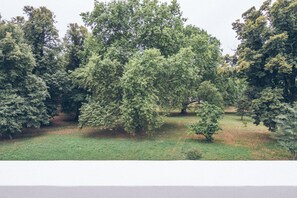 A park with various trees and a grassy area.