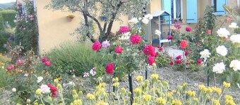 切兹玫瑰玛丽民宿