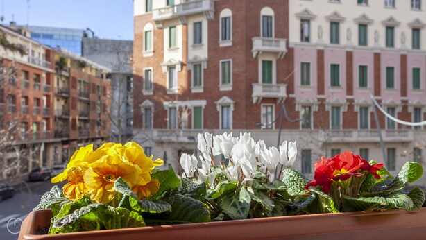 A balcony with potted flowers and a view of multi-story buildings. - Italianway Corso Lodi 121 (Milan)