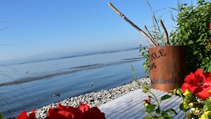 Vista costera con una maceta metálica que dice "ERLE NOUS" y flores rojas en primer plano.